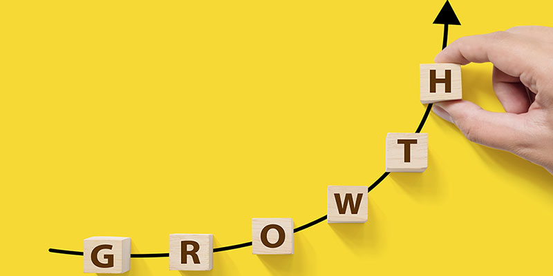 Basic marketing essentials